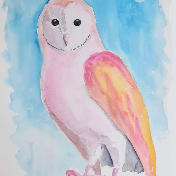 Barn Owl