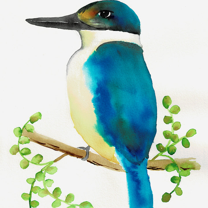 Kōtare / Kingfisher
