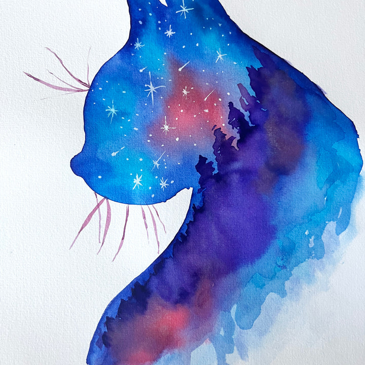 Midnight Kitty