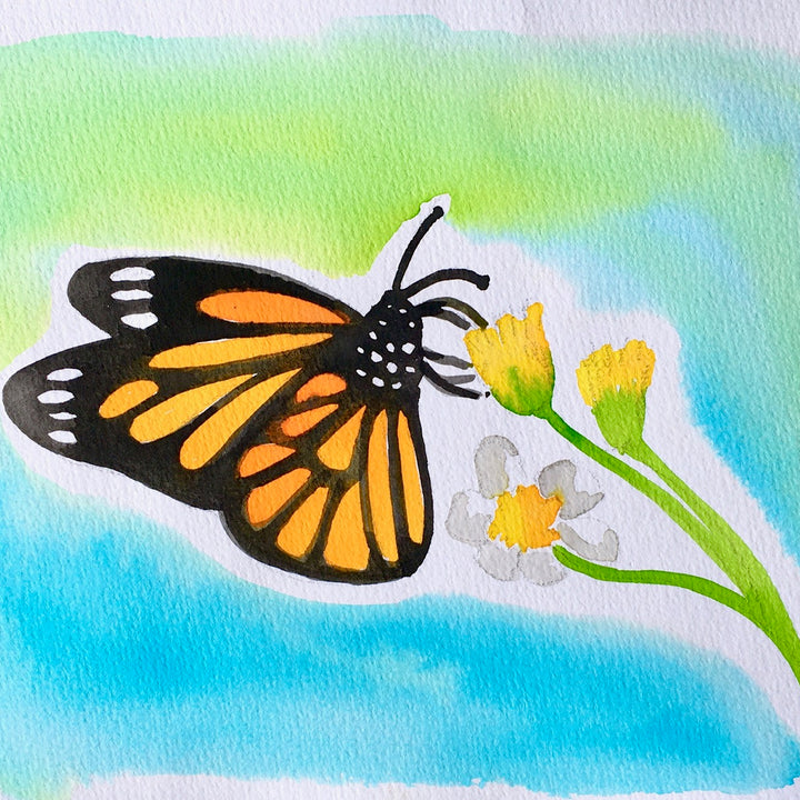 Monach Butterfuly V2
