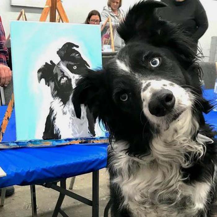 Paint Your Pet