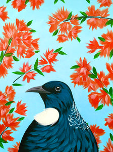 Pohutukawa Tui