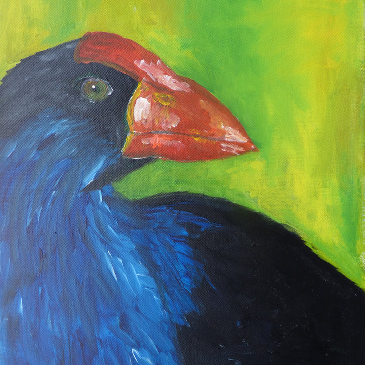 Pukeko