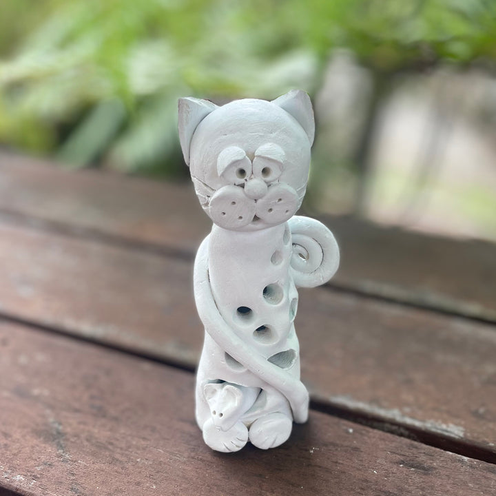 Quirky Cat