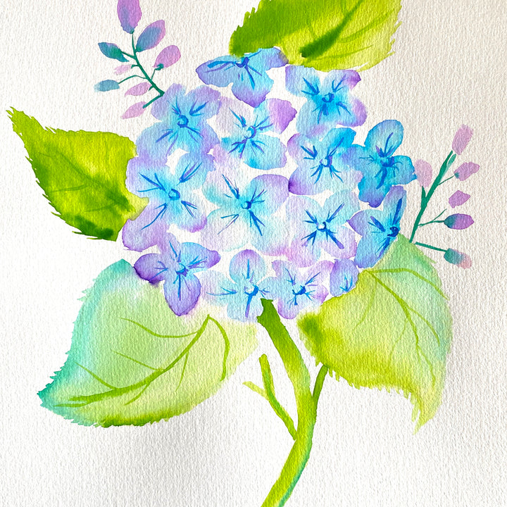 Watercolour Hydrangea