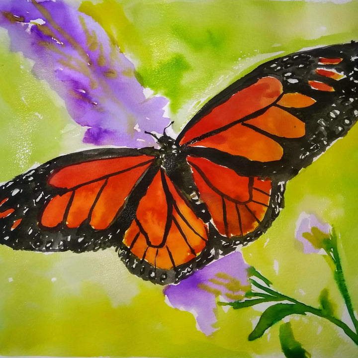 Monach Butterfuly