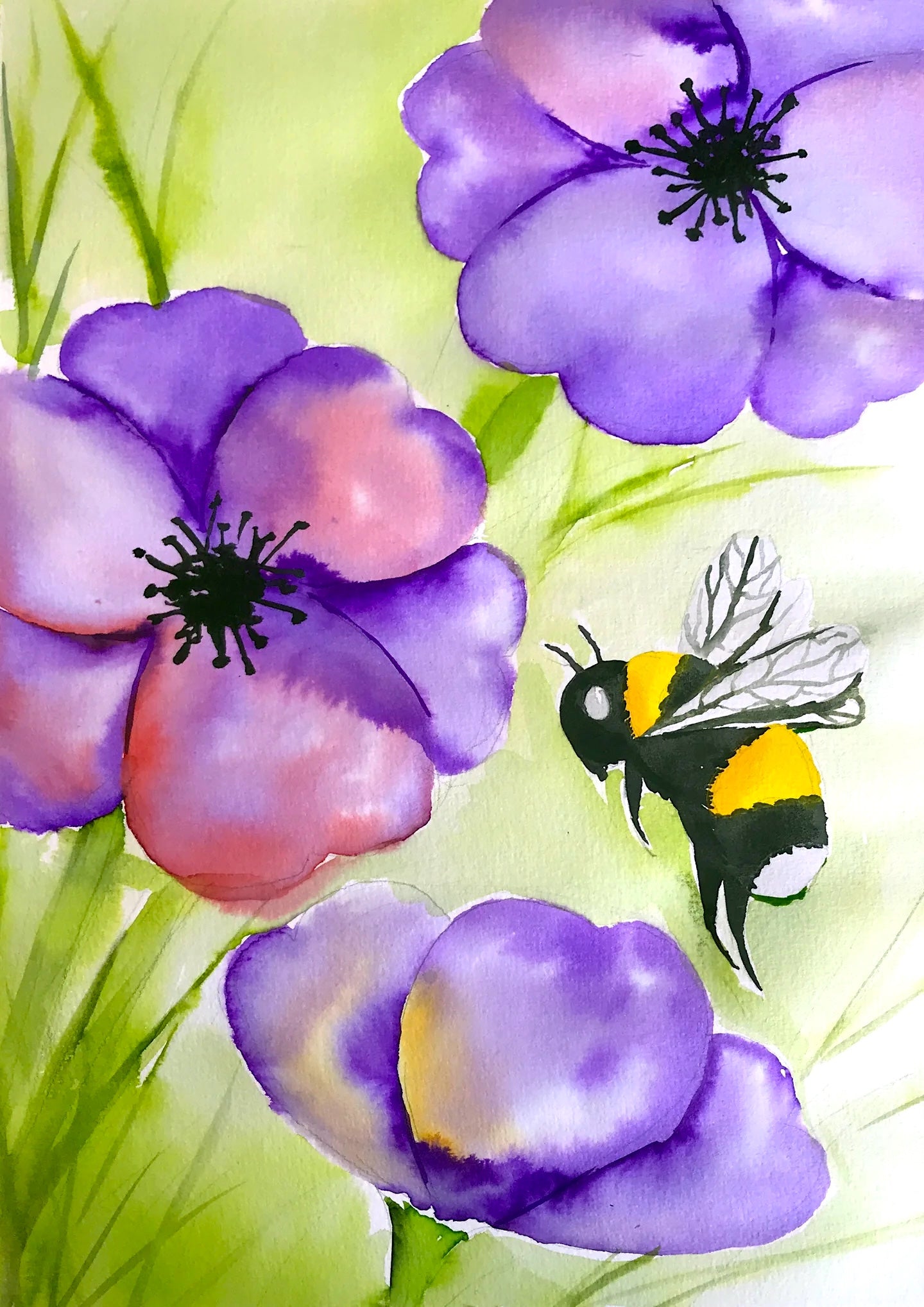 Bumblebee with Flowers | 17/06/2025 - Good Eastern Taphouse, Rotorua