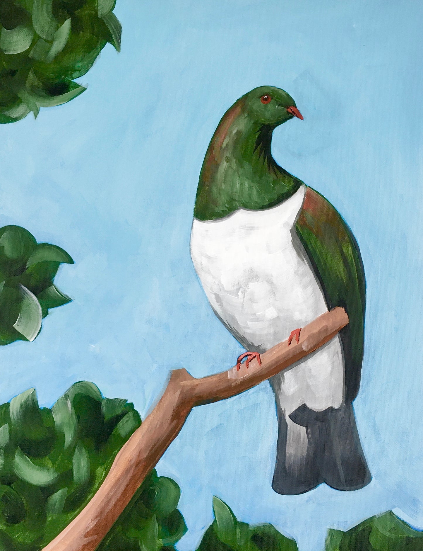 Kereru | 18/08/2026- Good Neighbour, Hamilton