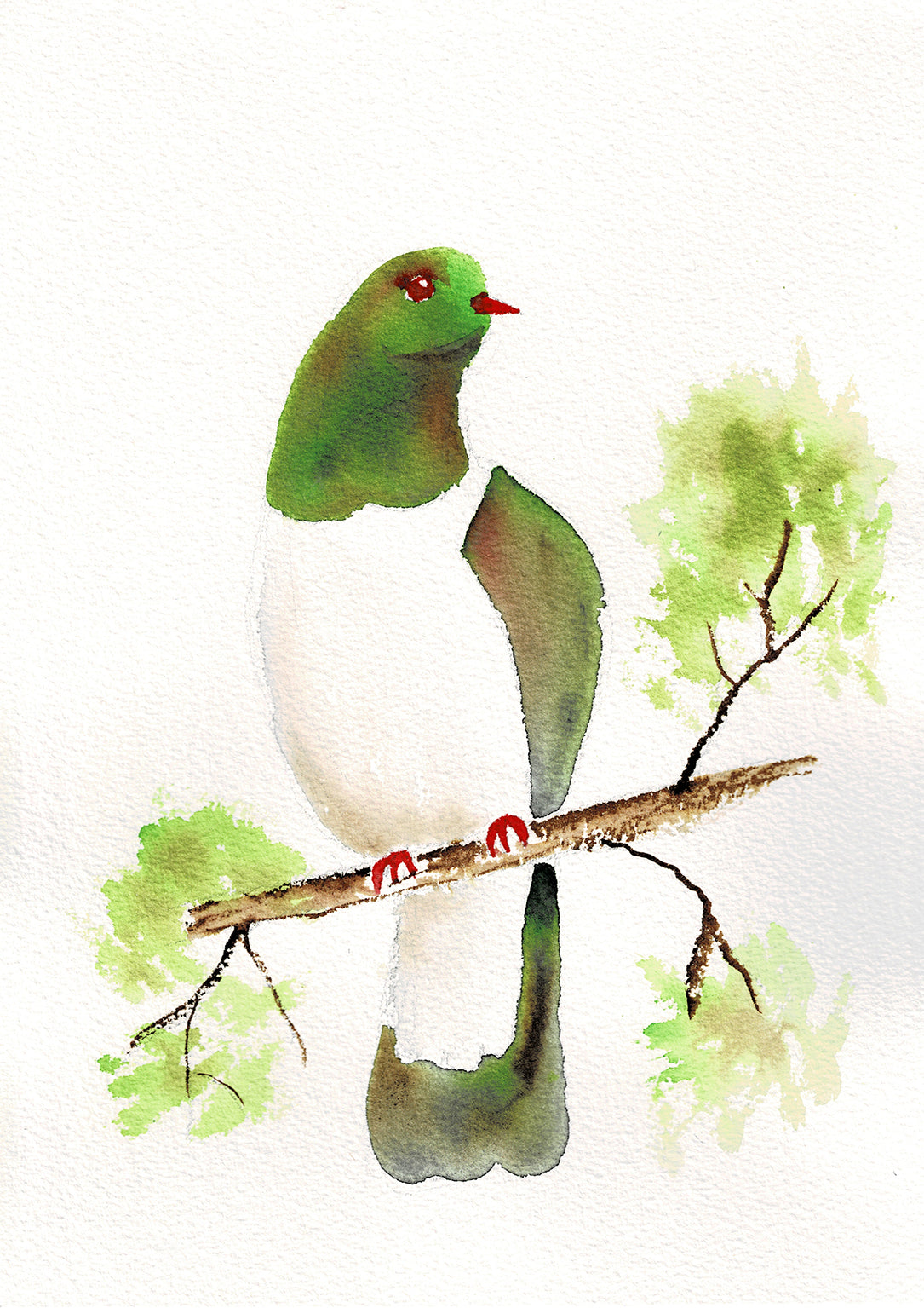 Watercolour Kereru | 17/11/2026 - Backyard Gastro Pub, Whatawhata