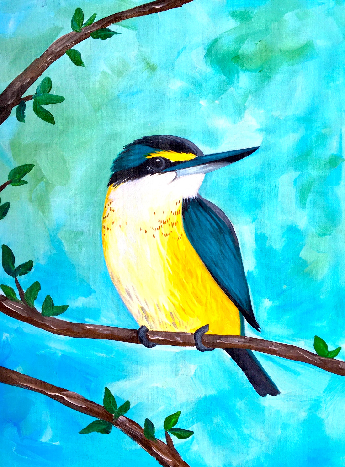 Kotare | 11/12/2025 - Good Eastern Taphouse, Rotorua