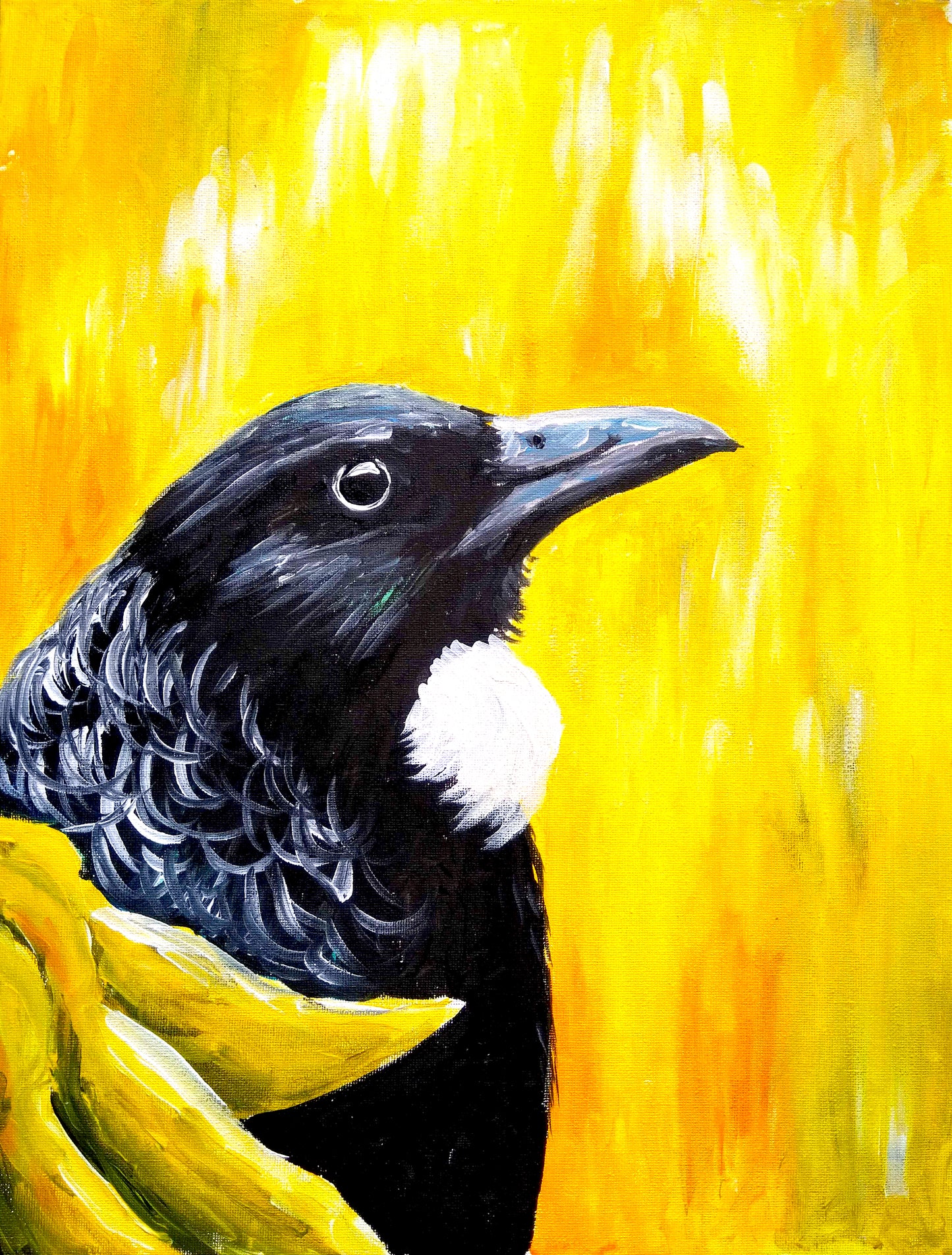 Kowhai Tui | 26/05/2025 - Village Green Bar & Kitchen, Omokoroa