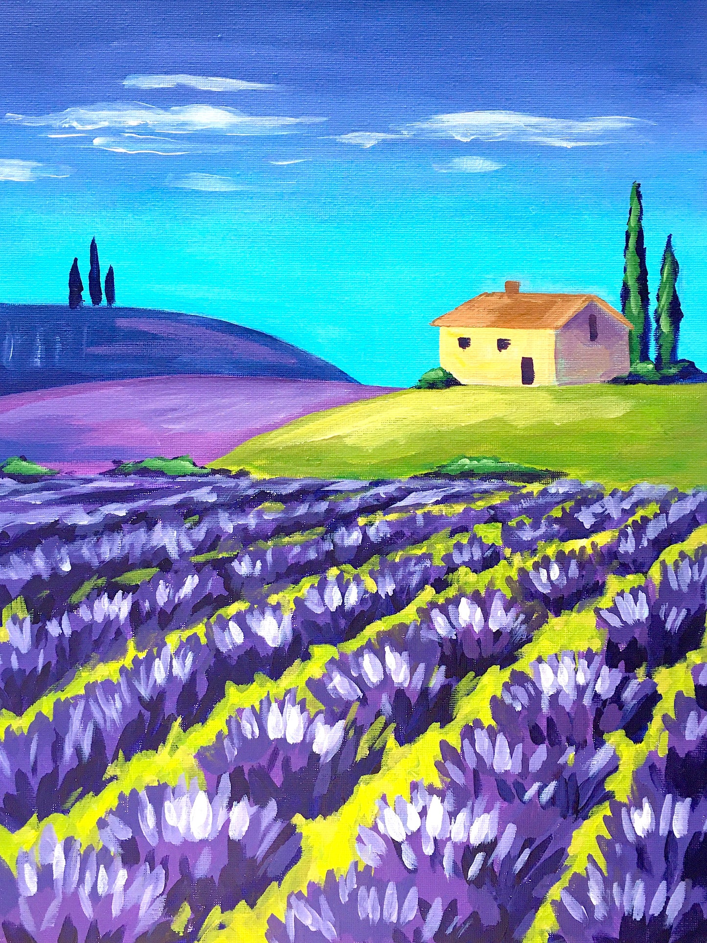 Lavender Fields | 21/03/2026 - Hamilton Gardens