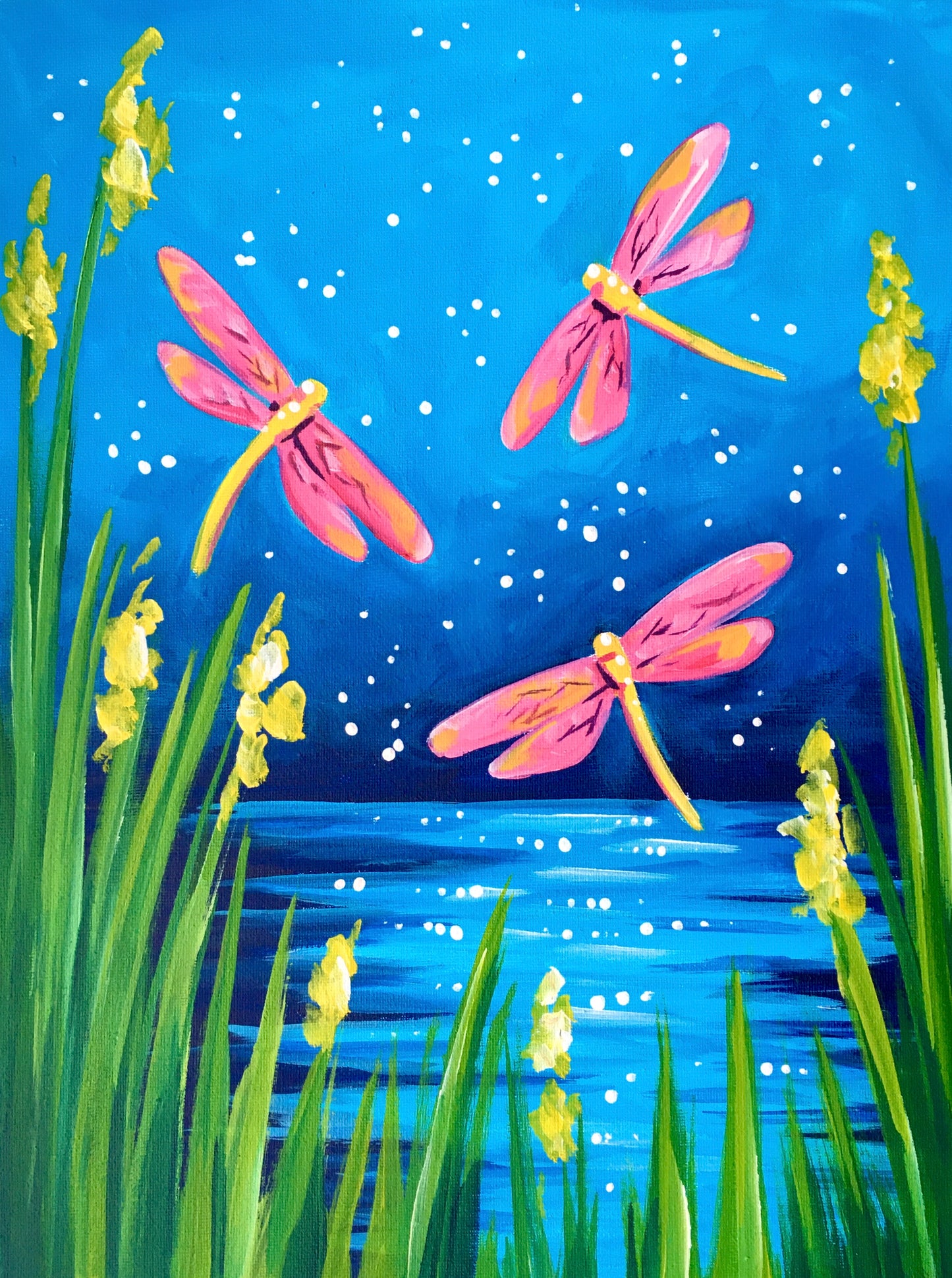 Magical Dragonflies | 16/03/2026 - Little Creatures, Auckland