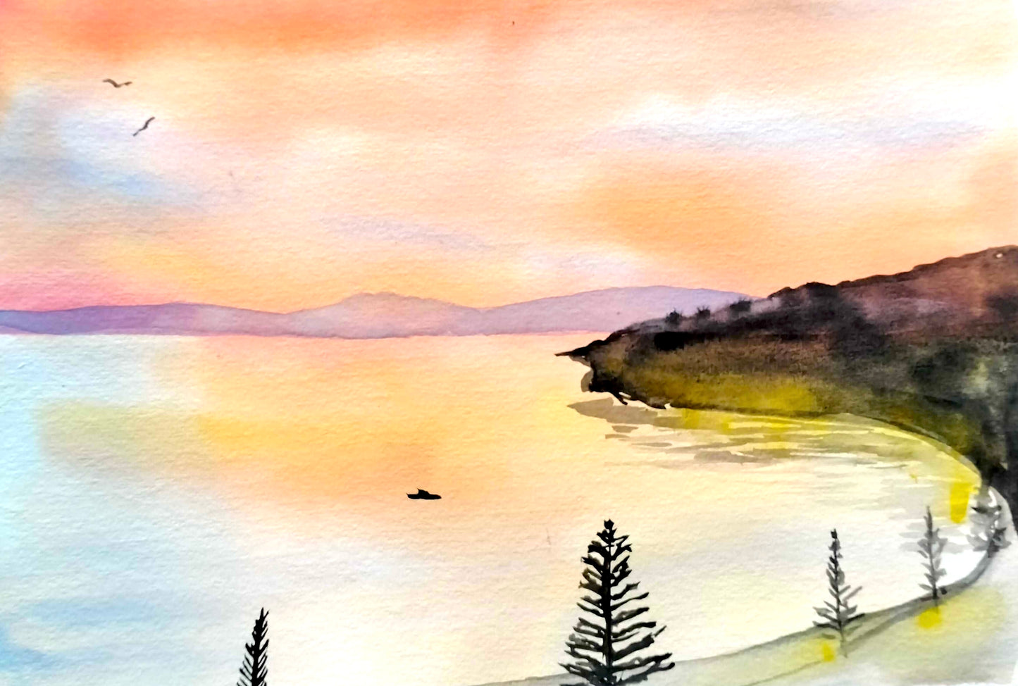 Sunrise on the Bay | 17/03/2026 - Southern Cross, Wellington