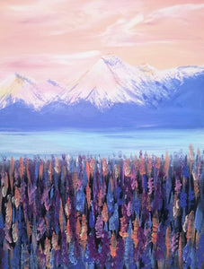 Aoraki / Mt Cook