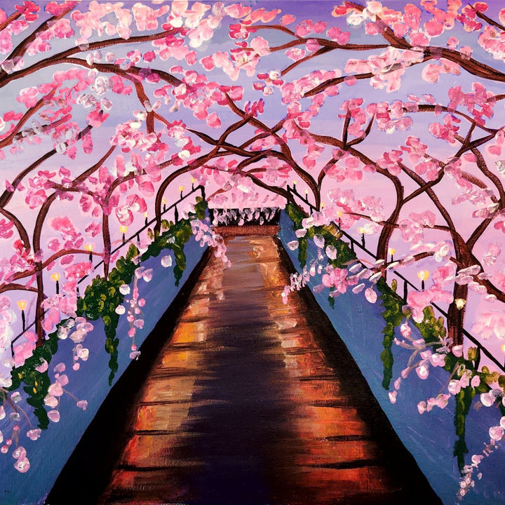 Cherry Blossoms