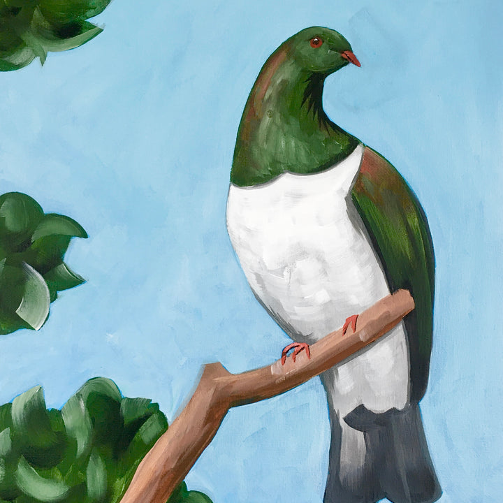 Kererū