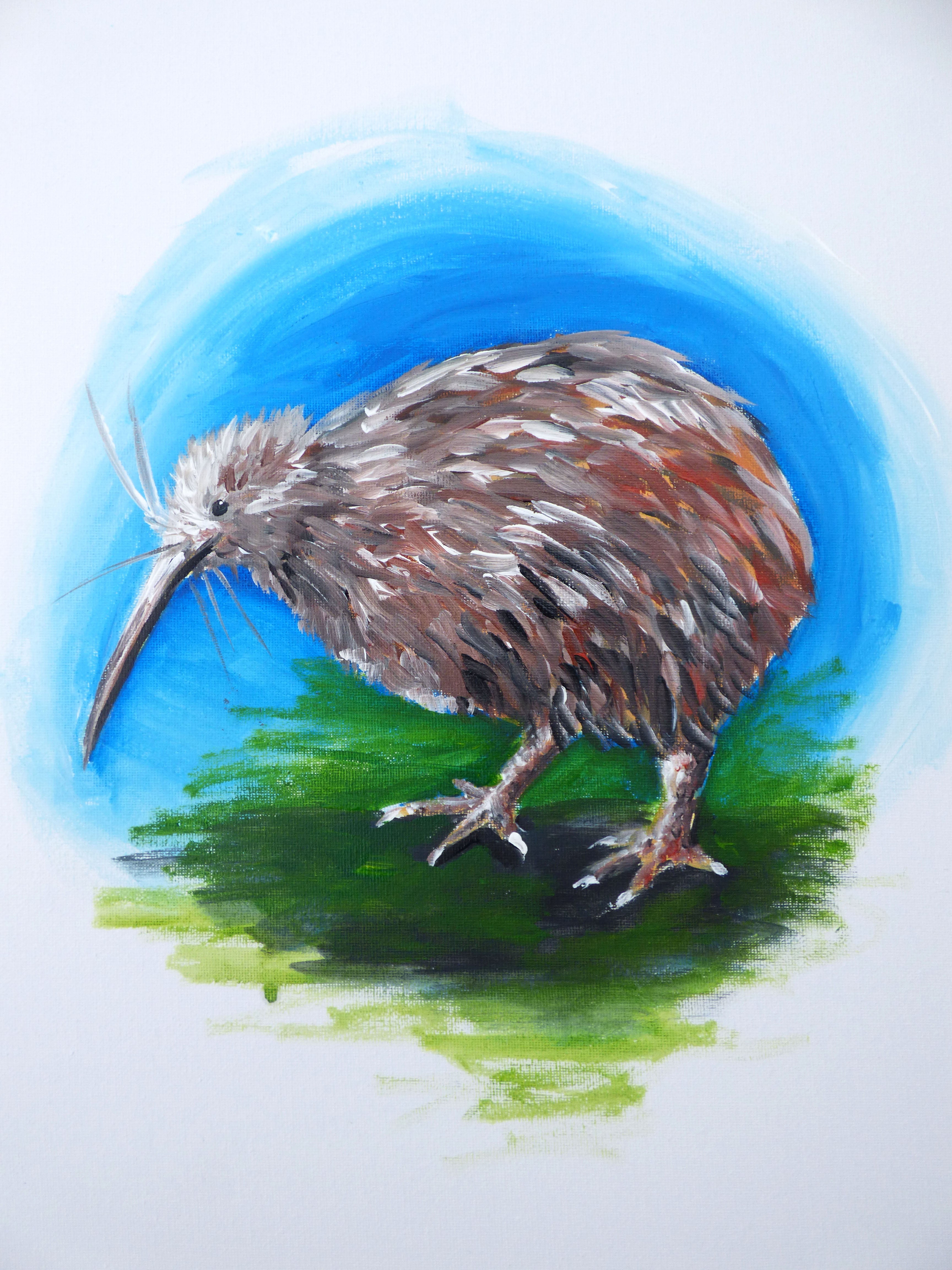 Learn To Paint Kiwi Paintvine   Kiwi 