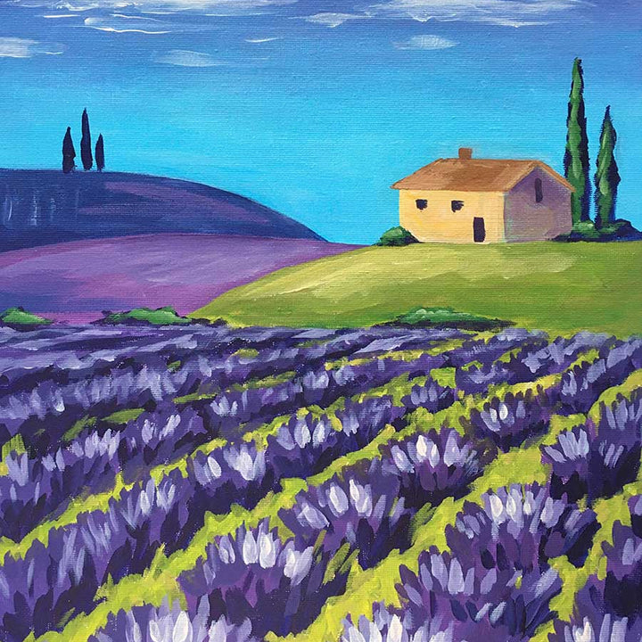 Lavender Fields