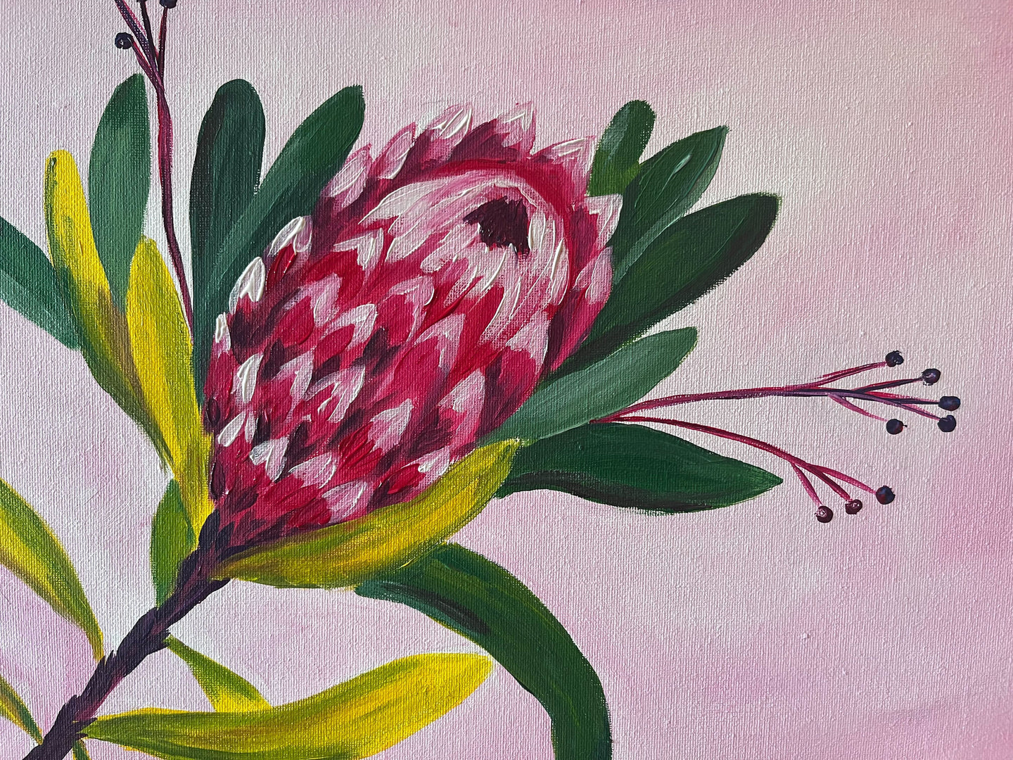 Learn to paint Protea Bloom - Pink – Paintvine®