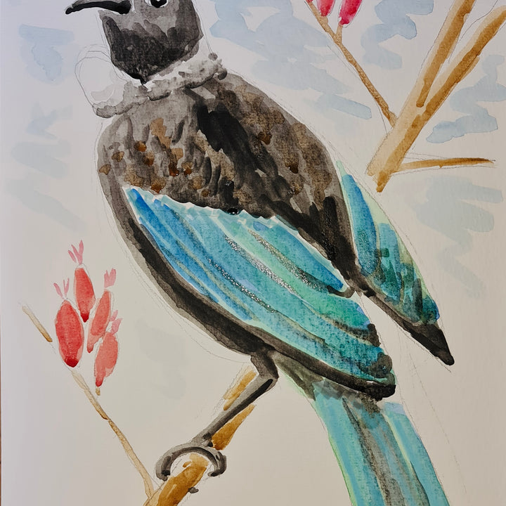 Tui Bird