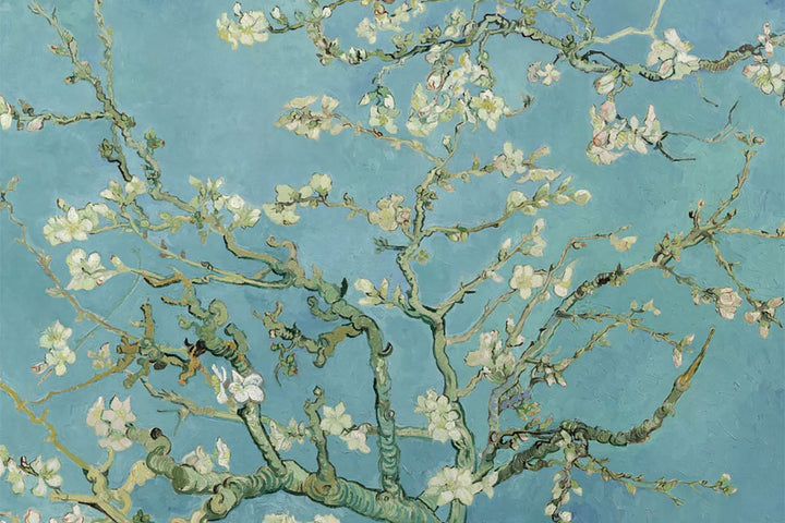 The Mystery of Van Gogh’s Fading Flowers