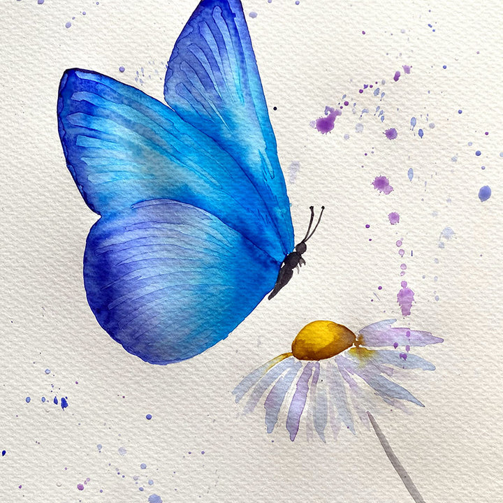 Watercolour Midnight Butterfly