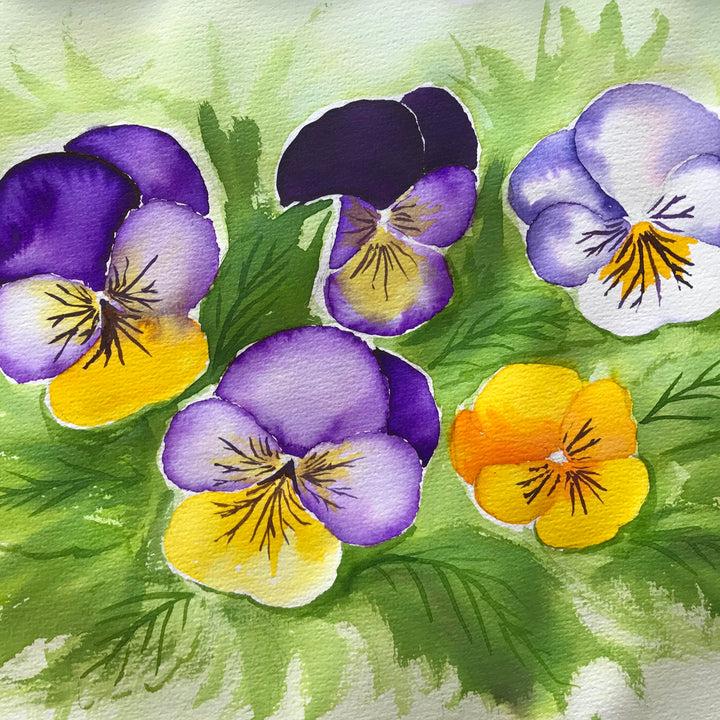 Wild Viola