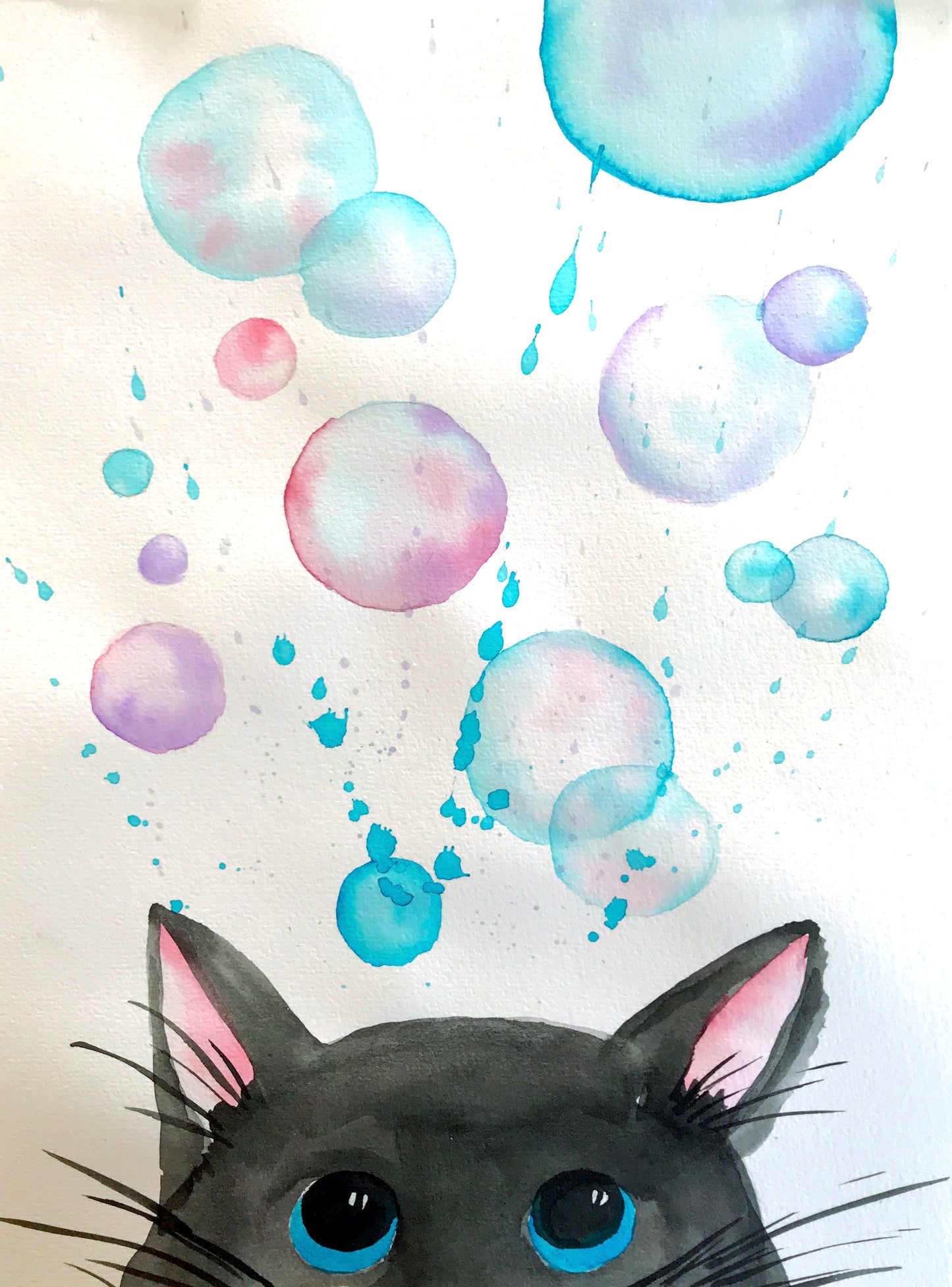 Bubble Kitty | 10/10/2024 - Postman's Leg, Auckland