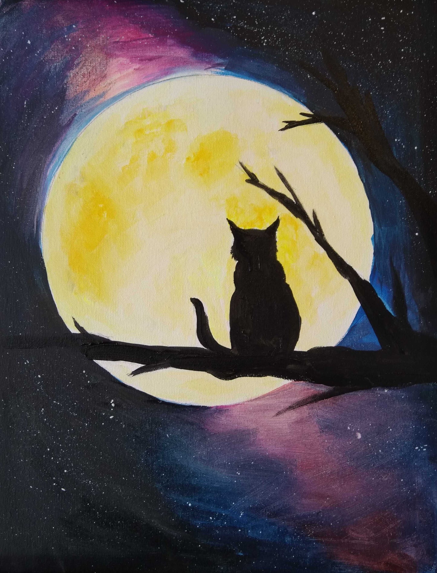 Cat in the Moon | 28/07/2026 - Good Neighbour, Hamilton
