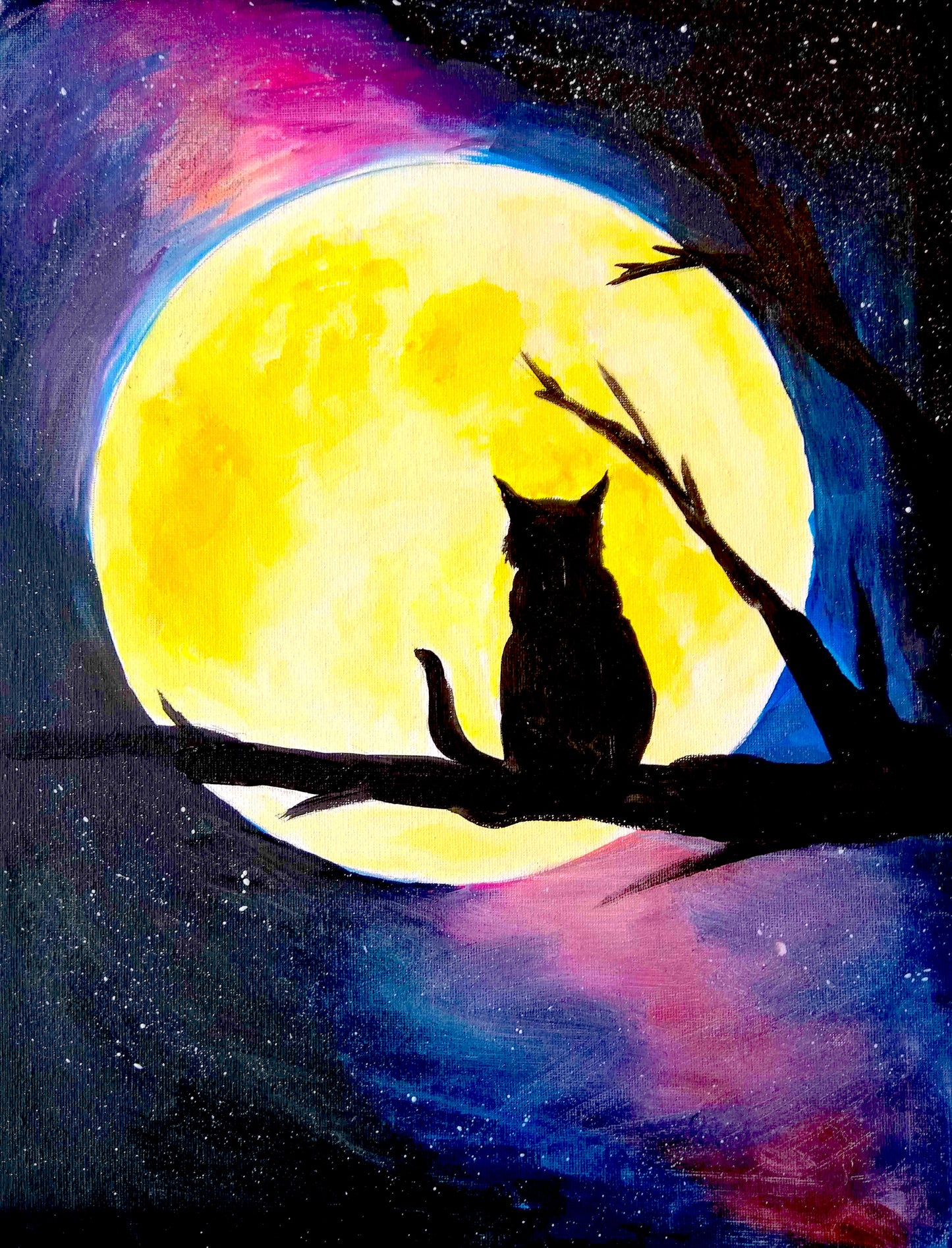 Cat in the Moon | 23/06/2025 - Village Green Bar & Kitchen, Omokoroa