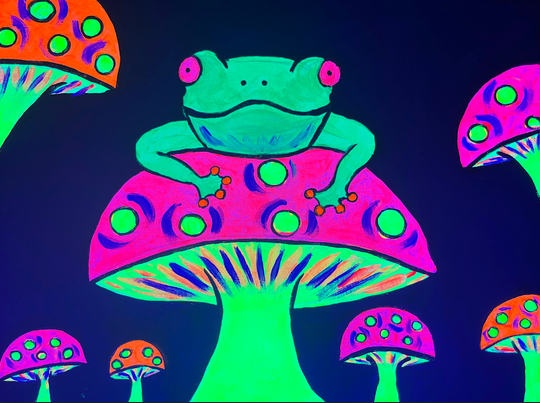 Frog on the Glow | 30/10/2025 - Millennium Hotel Rotorua
