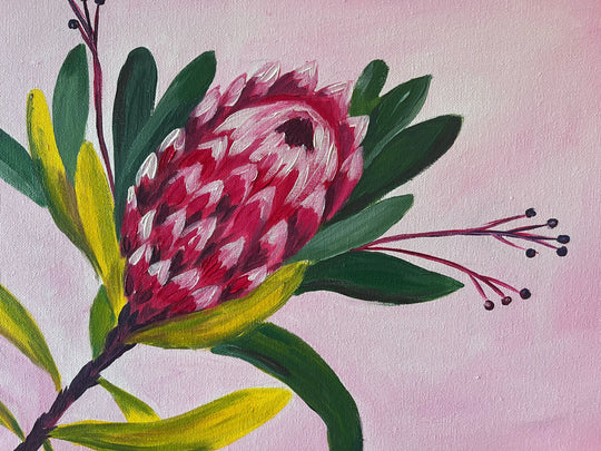 Protea Bloom (Pink) | 15/09/2026 - The Comm, Whakatane