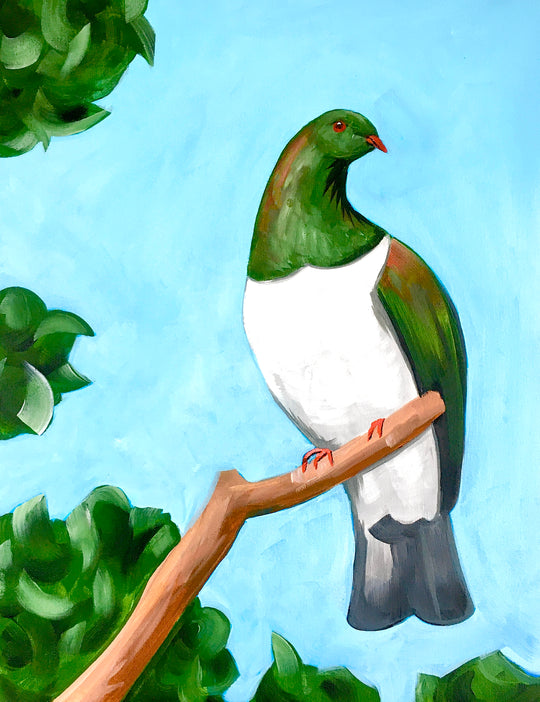 Kereru | 09/09/2025 - Good Neighbour, Hamilton