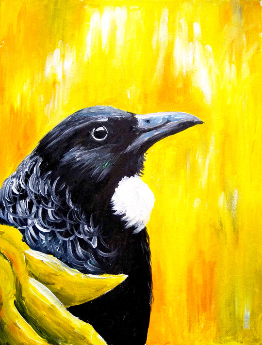 Kowhai Tui | 26/05/2025 - Village Green Bar & Kitchen, Omokoroa