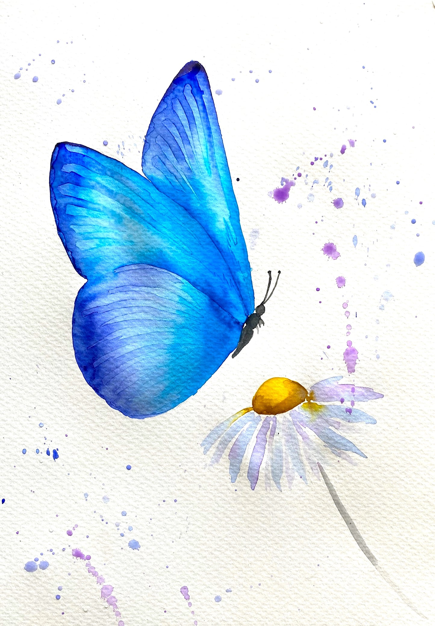 Midnight Butterfly | 10/06/2026- Mavericks Gastropub, Taupo