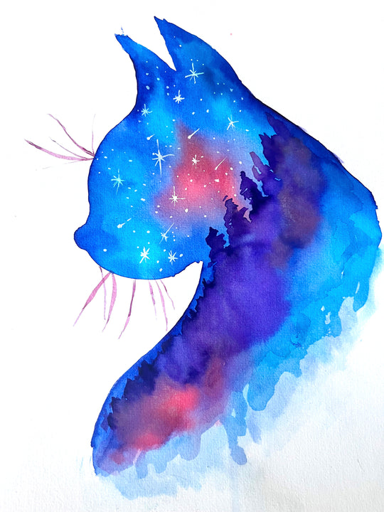 Midnight Kitty | 07/10/2025 - Good Neighbour, Hamilton