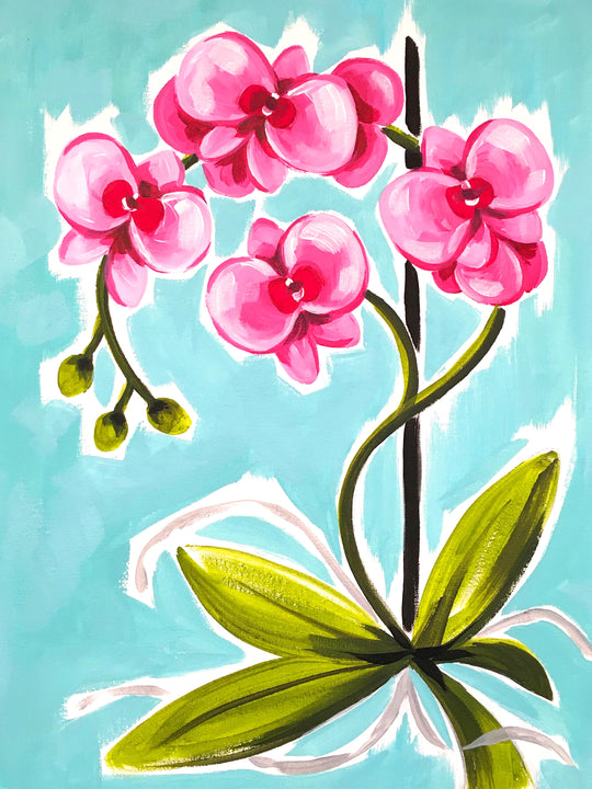 Orchids | 17/09/2025 - Lone Star, Whangarei