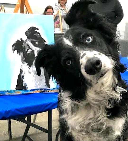 Paint Your Pet | 03/06/2026 - Mr. Illingsworth, Te Atatu Peninsula, Auckland