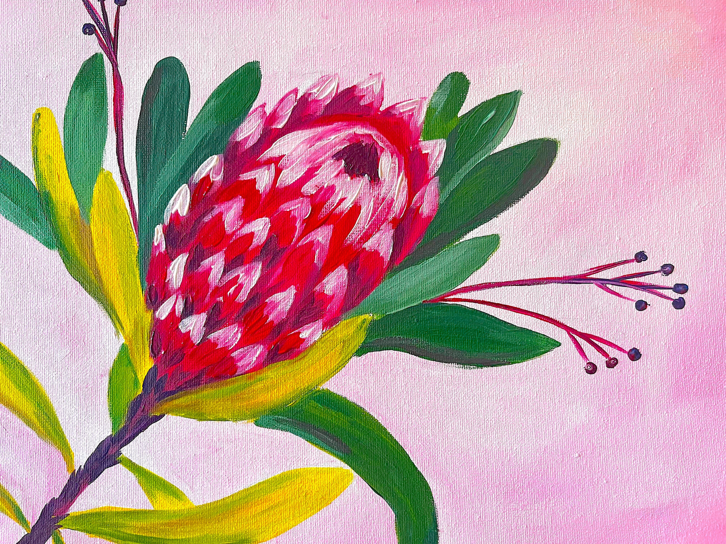 Protea Bloom (Pink) | 22/09/2026 - Good Neighbour, Hamilton