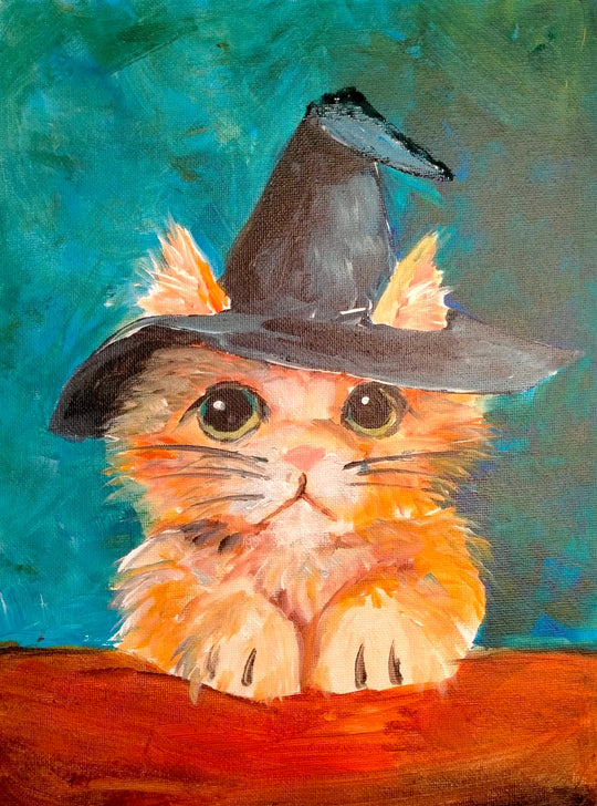 Spooky Kitty | 16/10/2025 - Postman's Leg, Auckland