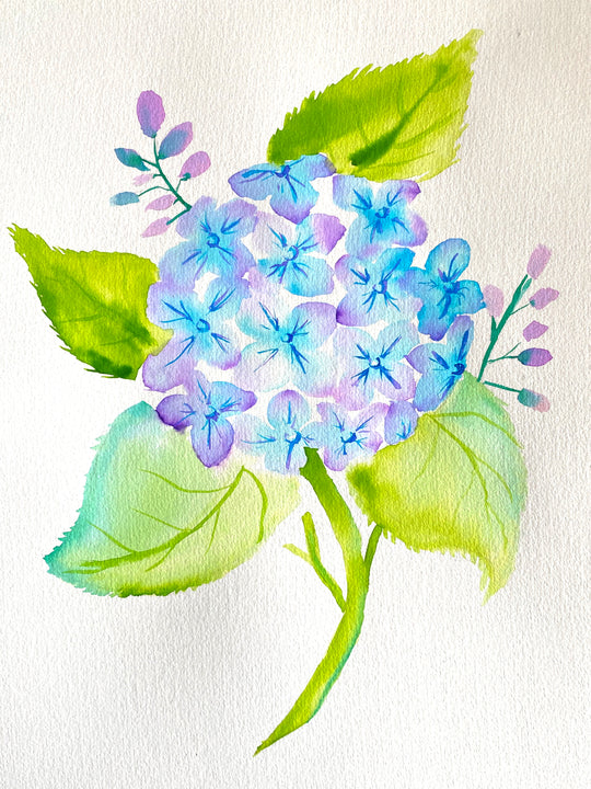 Book Wellington Paint and Wine Events Paintvine Paintvine®